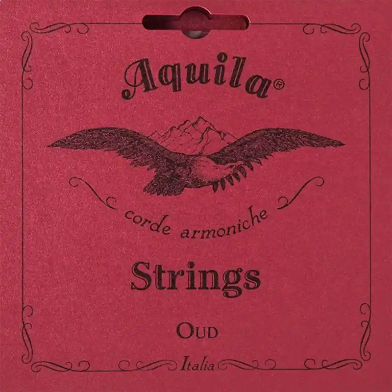 Hassle-Free Returns Aquila 13O Oud String Set