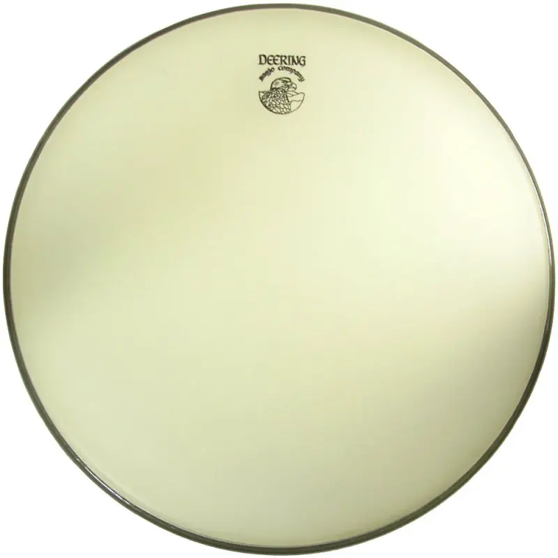 Express Delivery Deering Banjo Head, 11inch Frosted