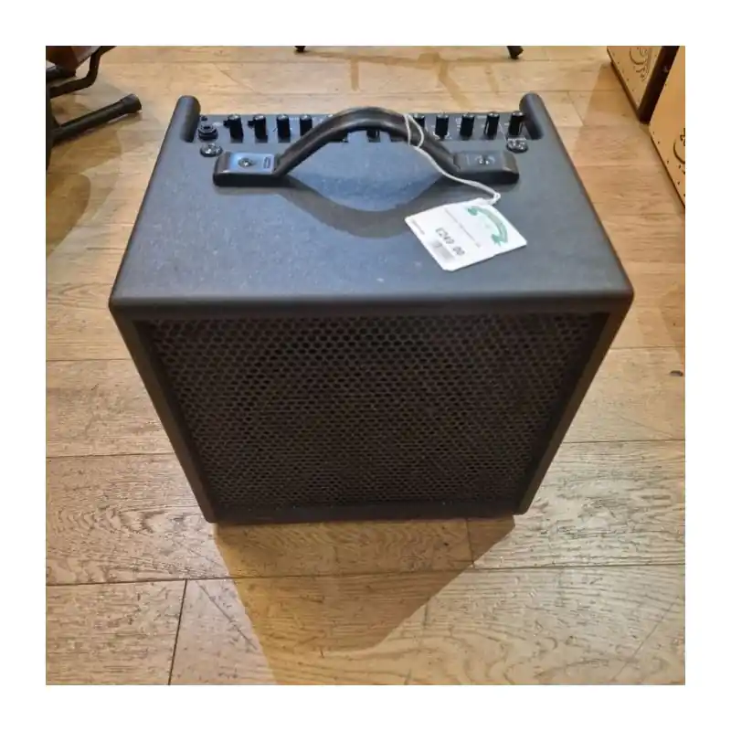 Tanglewood TW6 acoustic amp Don’t Miss Out
