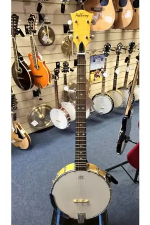 Affordable Ashbury AB-25 5 String Maple Open Back Banjo with a rolled brass tone ring