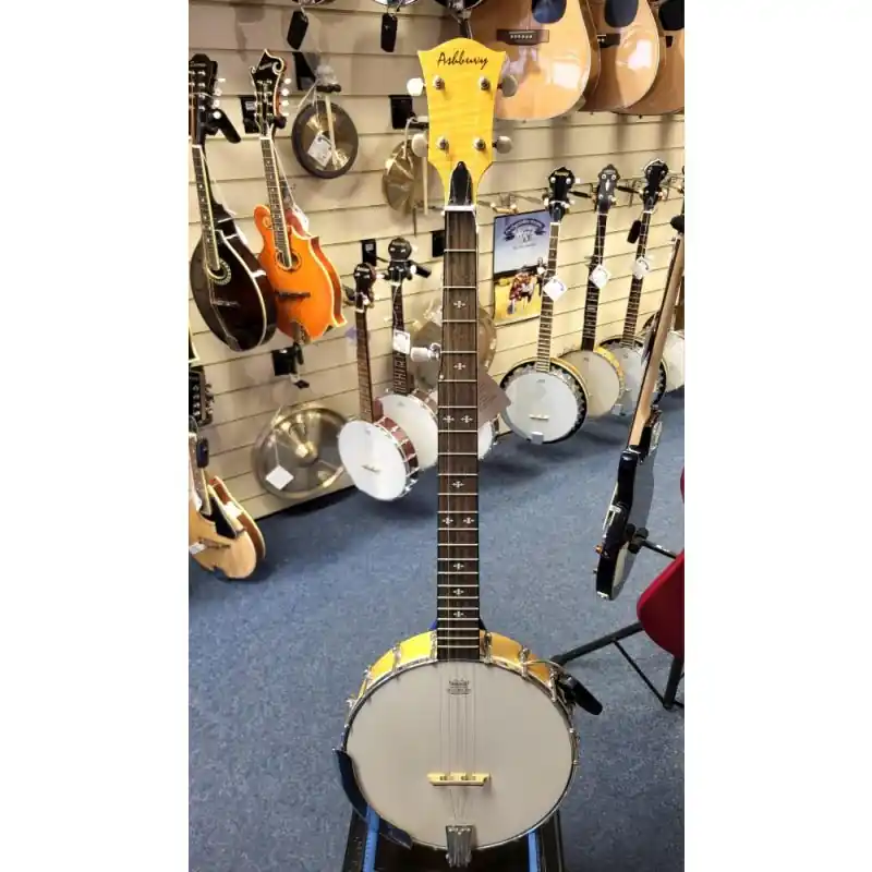 Affordable Ashbury AB-25 5 String Maple Open Back Banjo with a rolled brass tone ring