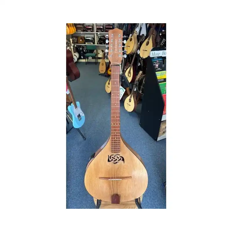 Freshwater Cittern Handmade in Scotland, Electro Acoustic, tuned open E, buzzy after the 7th fret, SOLD AS Cheap
