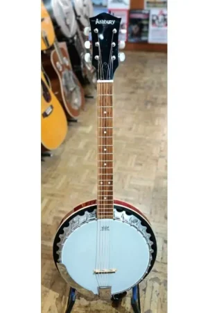 Ashbury AG-35 guitar banjo - very good condition with bag Price Drop