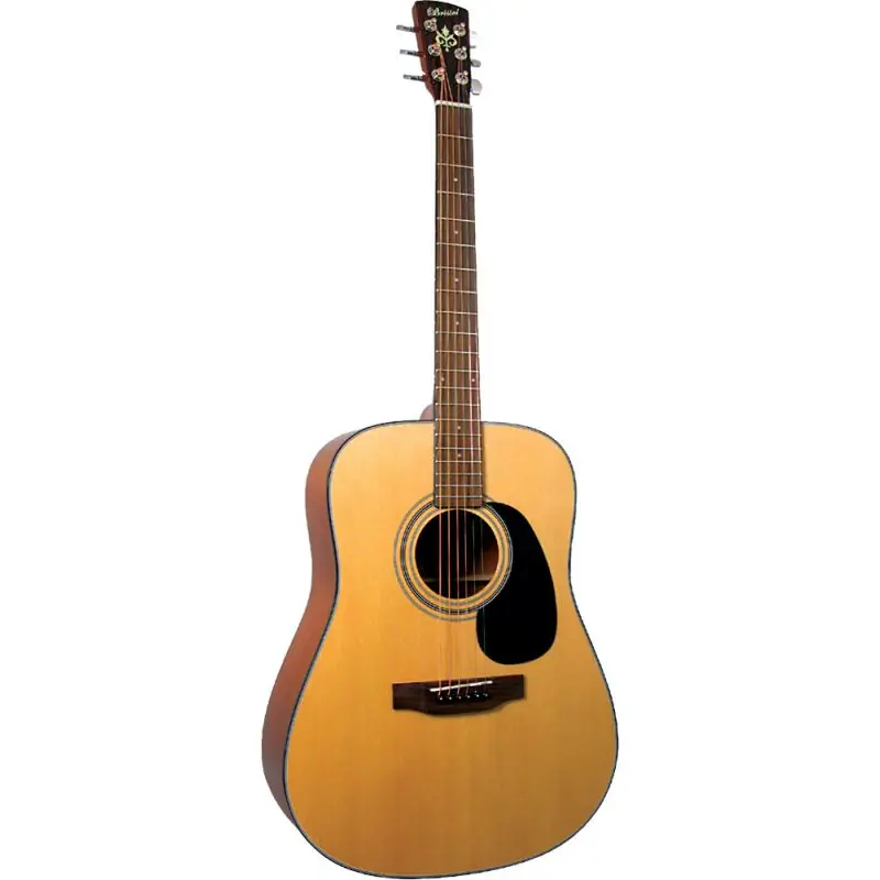 Bristol BD-16 Dreadnought Acoustic Guitar One Day Deal