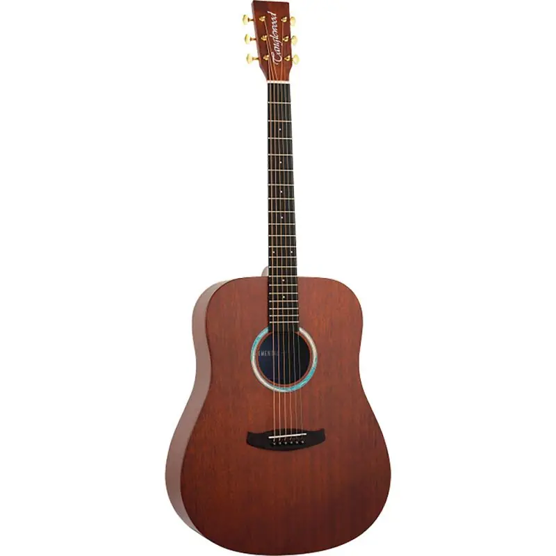 Order Now Tanglewood Elemental Dreadnought Acoustic Guitar