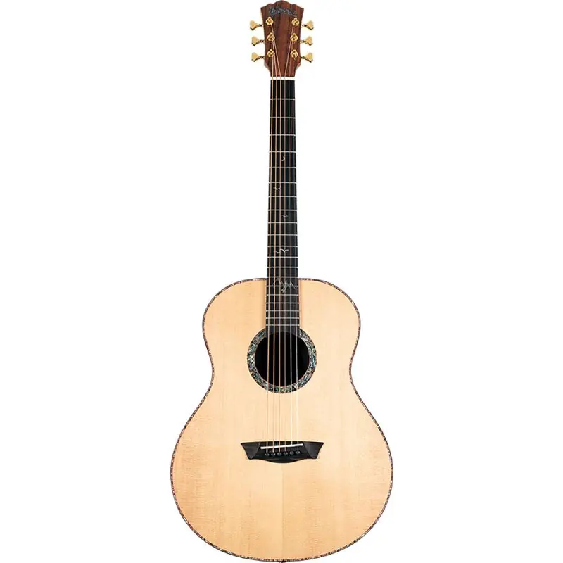 Price Drop Washburn Bella Tono Elegante S24S Studio Guitar