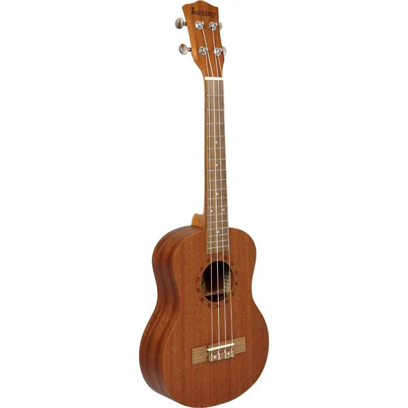 Express Delivery Ashbury AU-75TS Tenor Ukulele