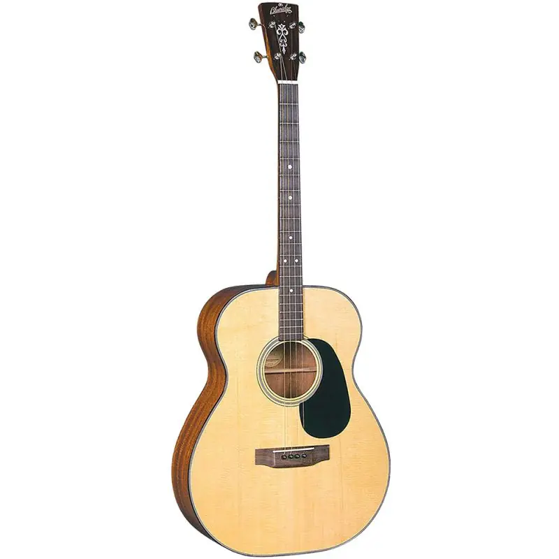 Blueridge BR-40T Tenor Guitar (ID: GR36135B) Reduced Price