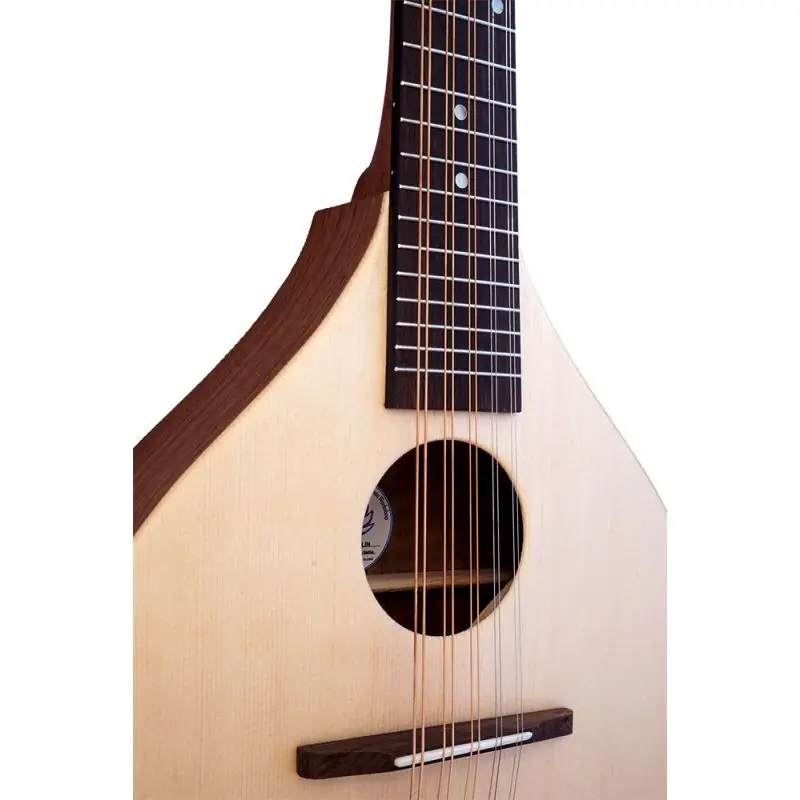 Ashbury Rathlin Cittern, 10 String Top Pick