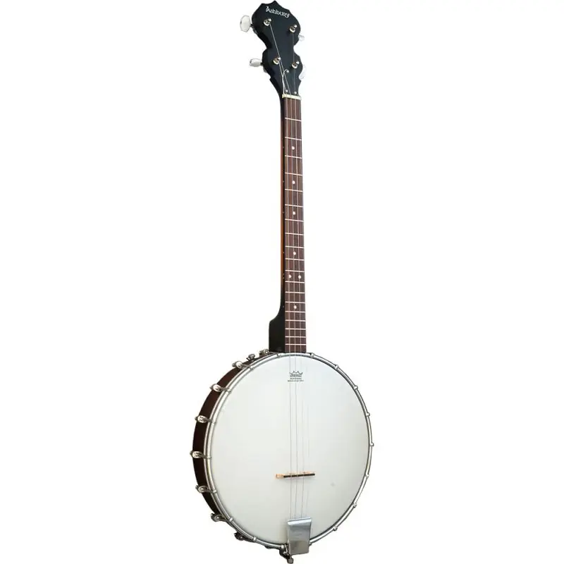 Budget Ashbury AB-10-T Tenor Banjo. Openback