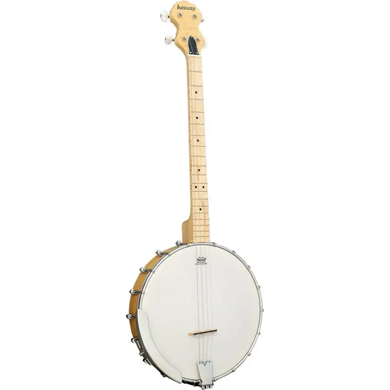 Mega Sale Ashbury AB-25-T Tenor Banjo, Open Back