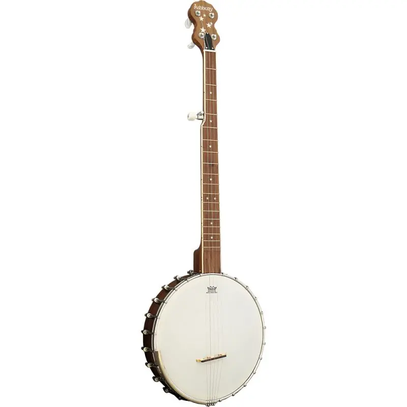 Buy Online Ashbury AB-85-5 5 String Banjo, Open back