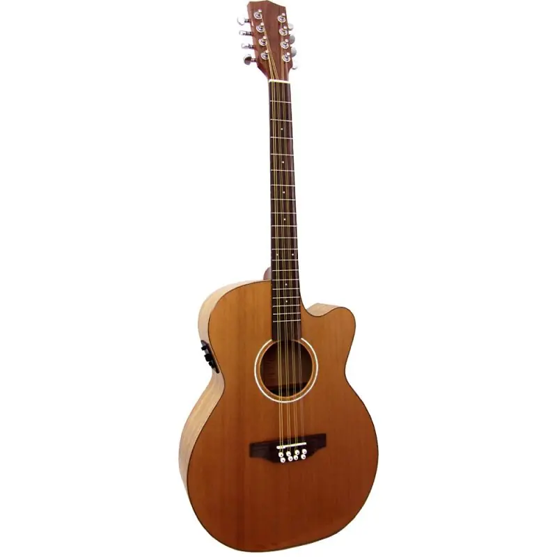 New Release Ashbury Lindisfarne Guitar Bodied Octave Mandolin