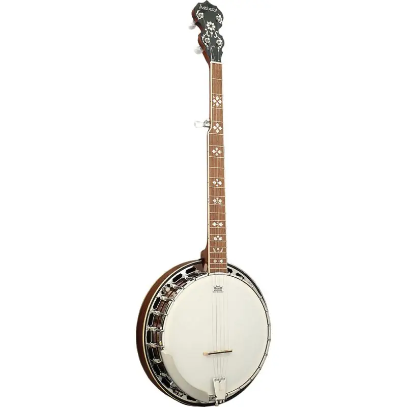 Ashbury AB-45-5 5 String Banjo While Supplies Last