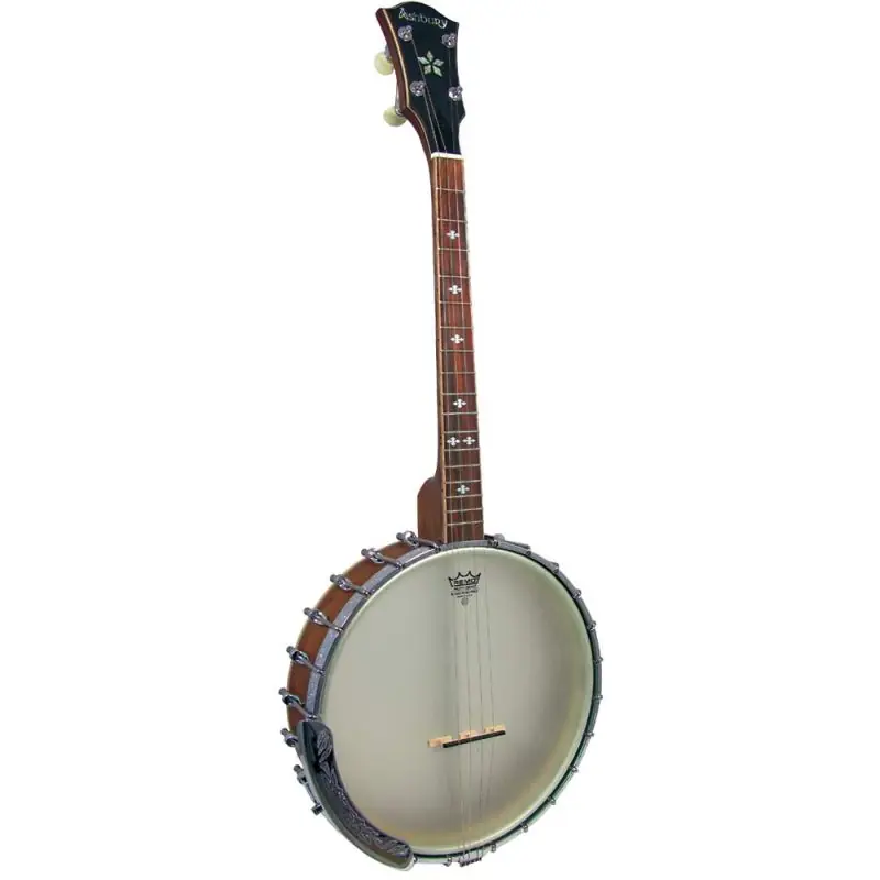Today Only Ashbury AB-55-TS Tenor Banjo, Openback