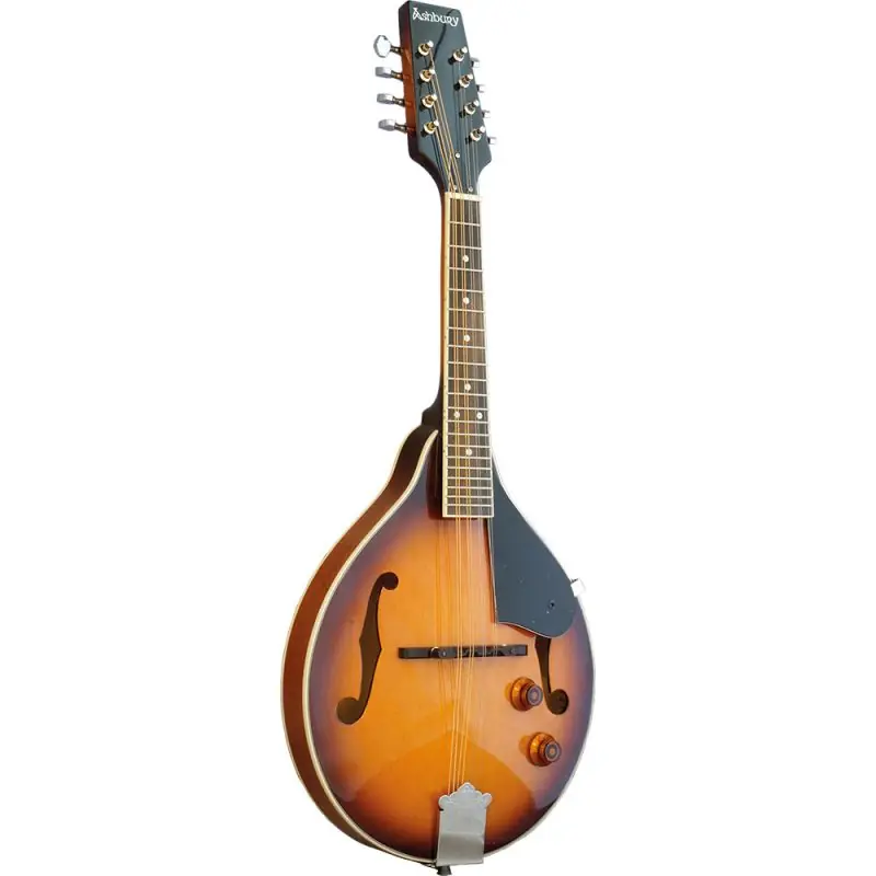 Best Price Ashbury AM-10-ESB A Style Electro Mandolin, S\\/B (ID: GR31023)