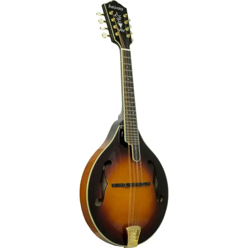Free Shipping Ashbury AM-510 A Style Bluegrass Mandolin