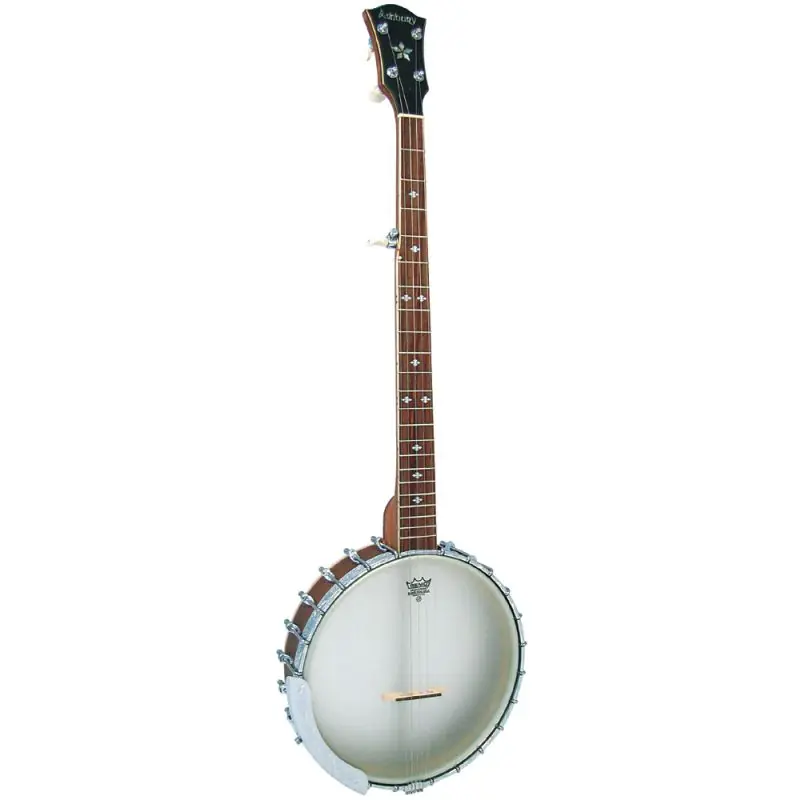 Professional Grade Ashbury AB-55-5 5 String Banjo, Open Back