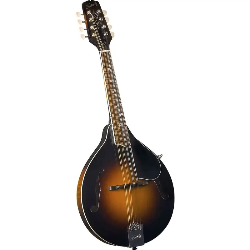 Kentucky KM-250 Deluxe A Model Mandolin. S\\/B Factory Price
