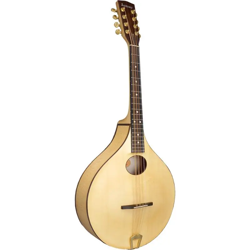 Markdown Ashbury Inishmore Celtic Octave Mandolin
