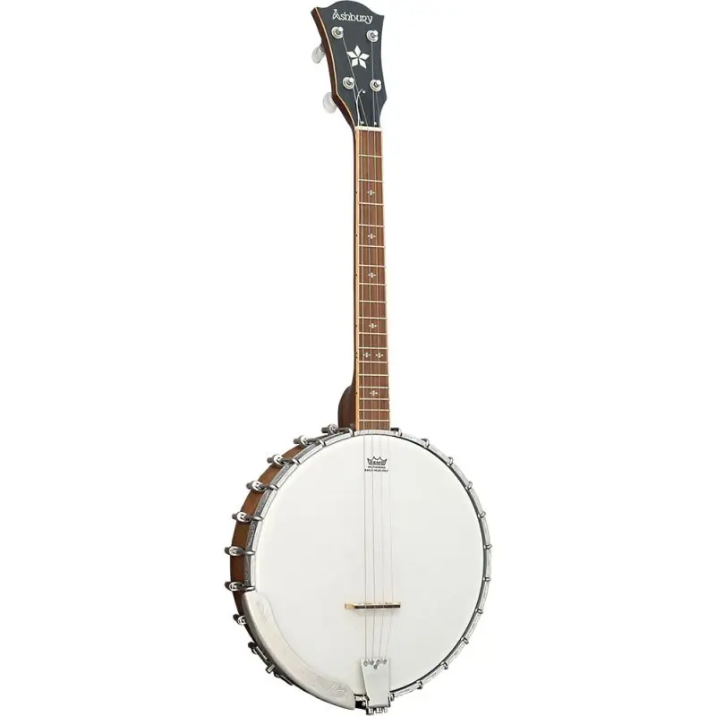 Ashbury AB-53-T Tenor Banjo, Walnut Open Back Reduced Price