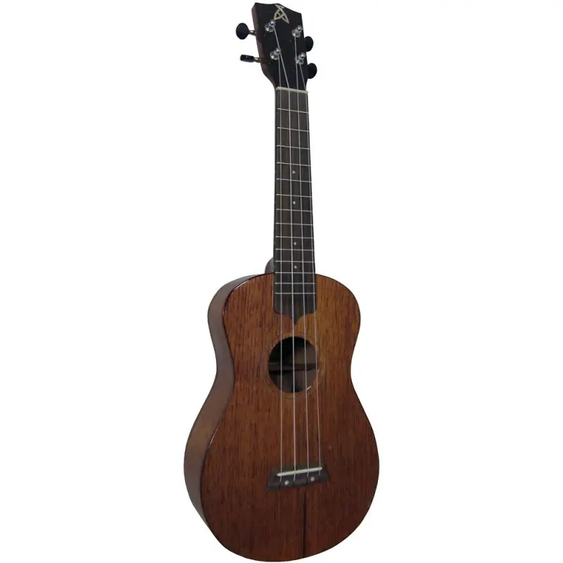 Limited Offer Ashbury AU-24C Concert Ukulele, Solid Sapele