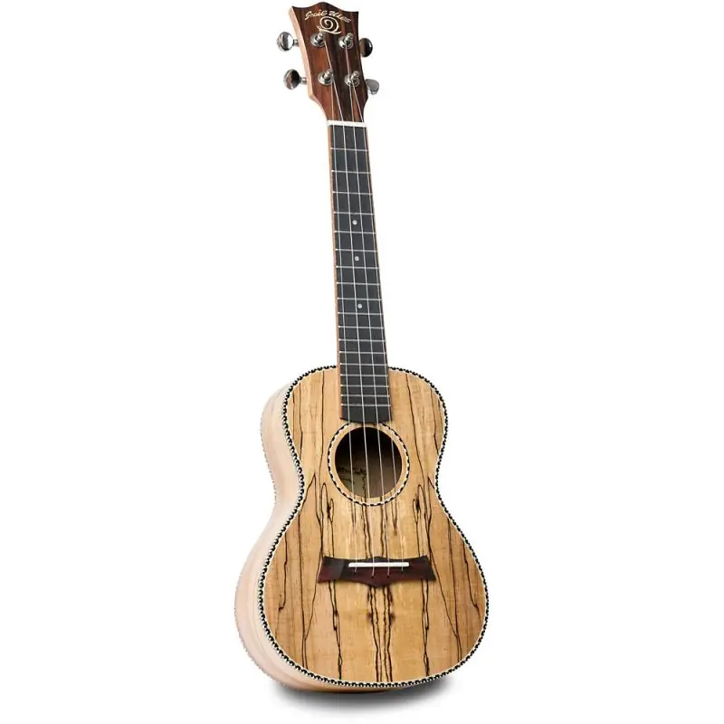 Limited Edition Snail UKC-490E Concert Uke Spalted Maple