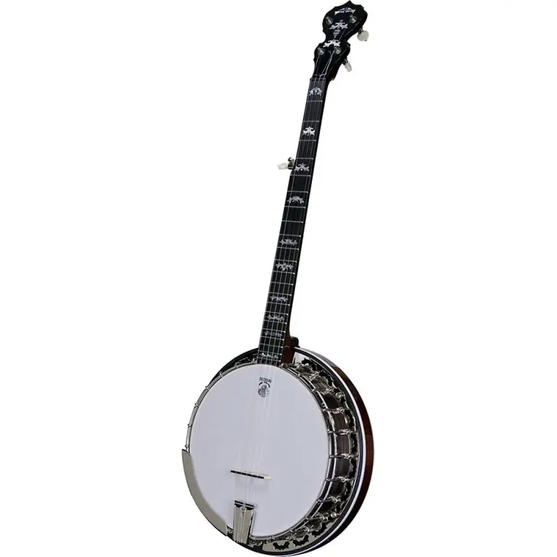 Price Cut Deering Eagle II 5 string Banjo
