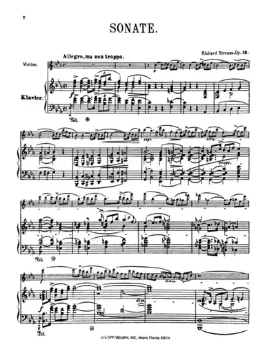 Strauss, R.: Sonata, Op.18, Eb Major (violin and piano) Budget