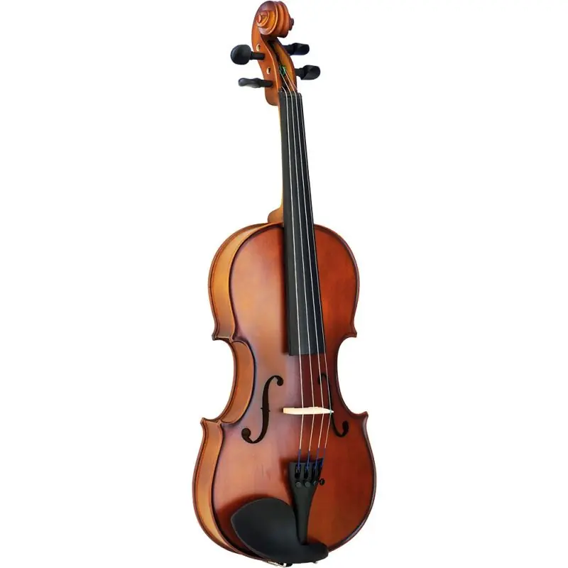 Super Sale Valentino Classic Full Size Violin Outfit