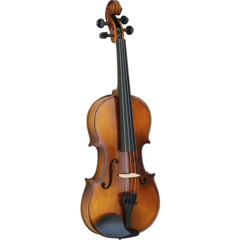 Valentino Etude Full Size Violin Outfit Free Shipping