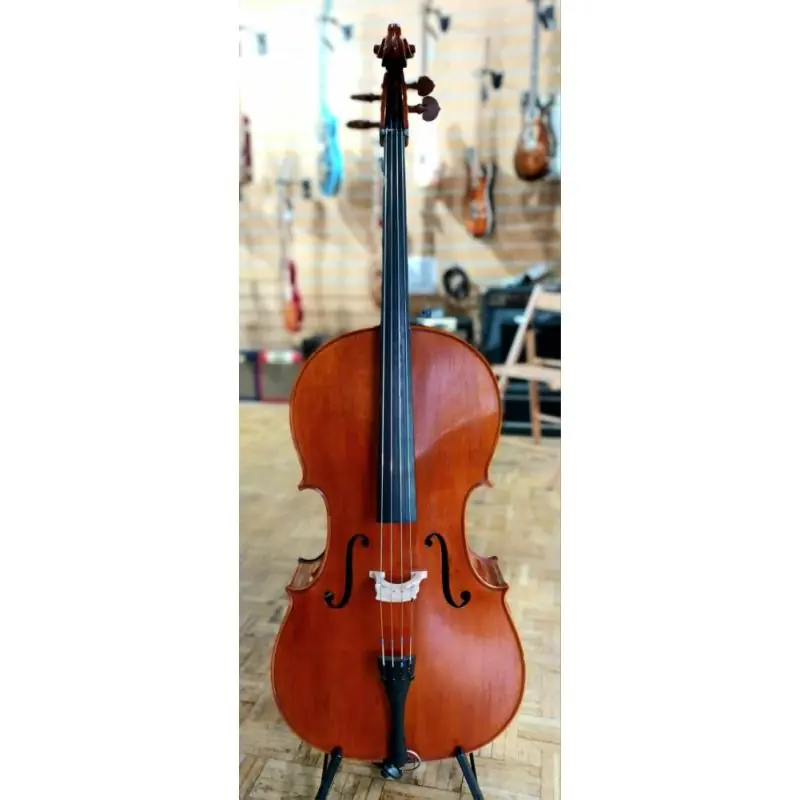 Modern European 4\\/4 cello, labelled Apollo 2023, two piece back, amber\\/brown varnish, medium flame. Excelle Holiday Sale