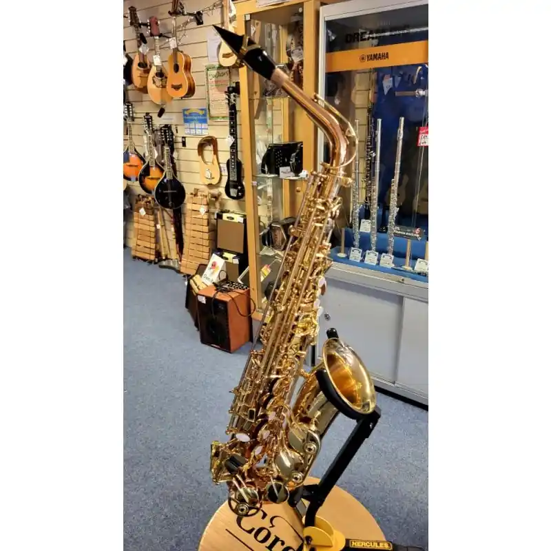 Fast Shipping Selmer La Vie AS-250 Alto Sax in nice condition complete with case