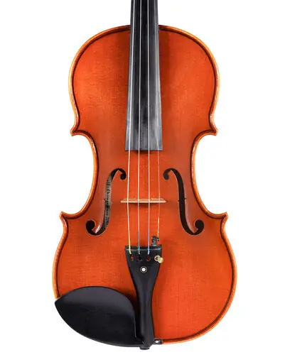 High Quality Gunther Reuter violin, 2001, op 406, Chicago | Metzler Violins