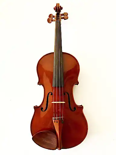 FASSAUER FERRON 4/4 violin, 1909, Chicago | Metzler Violins Secure Checkout