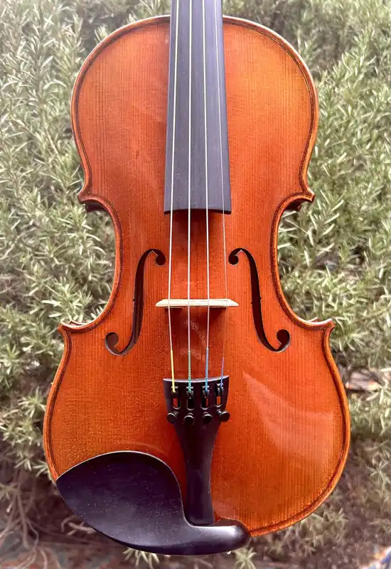Revelle Model 305 4/4 Violin Outfit, European Wood | Metzler Violins Money Back Guarantee