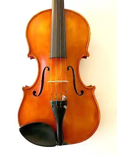 ORIN GOULD 15 1/4" viola, Boston 1957 No. 8 | Metzler Violins Wholesale