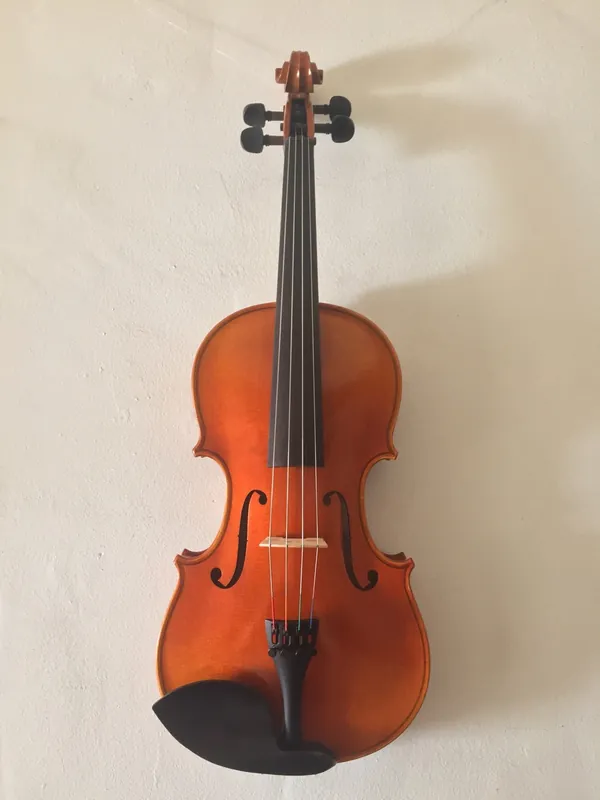 Serafina DX 16 1/2" viola outfit, with free case, rosin & polish cloth Premium