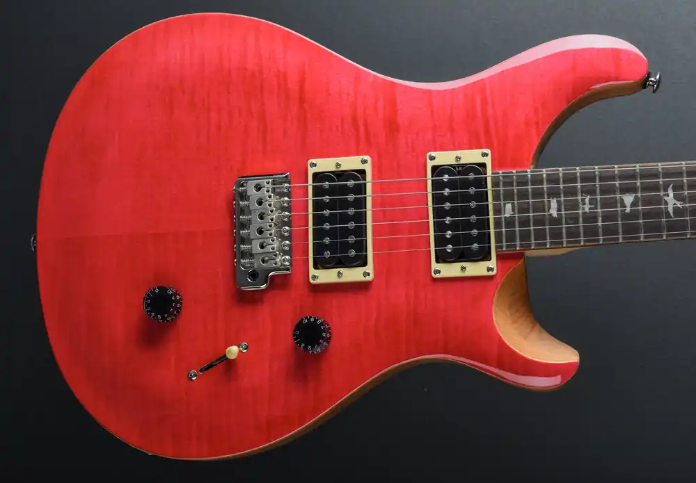 SE Custom 24 '22– Dave's Guitar Shop One Day Deal