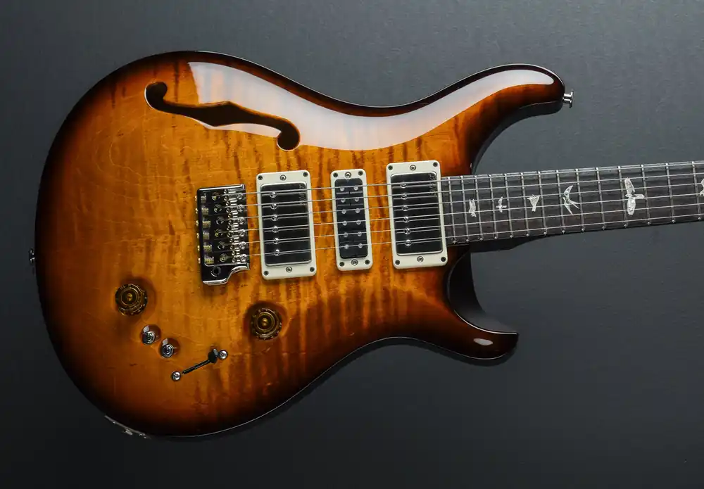 Free Shipping Special 22 Semi Hollow - Amber Smokewrap Burst– Dave's Guitar Shop