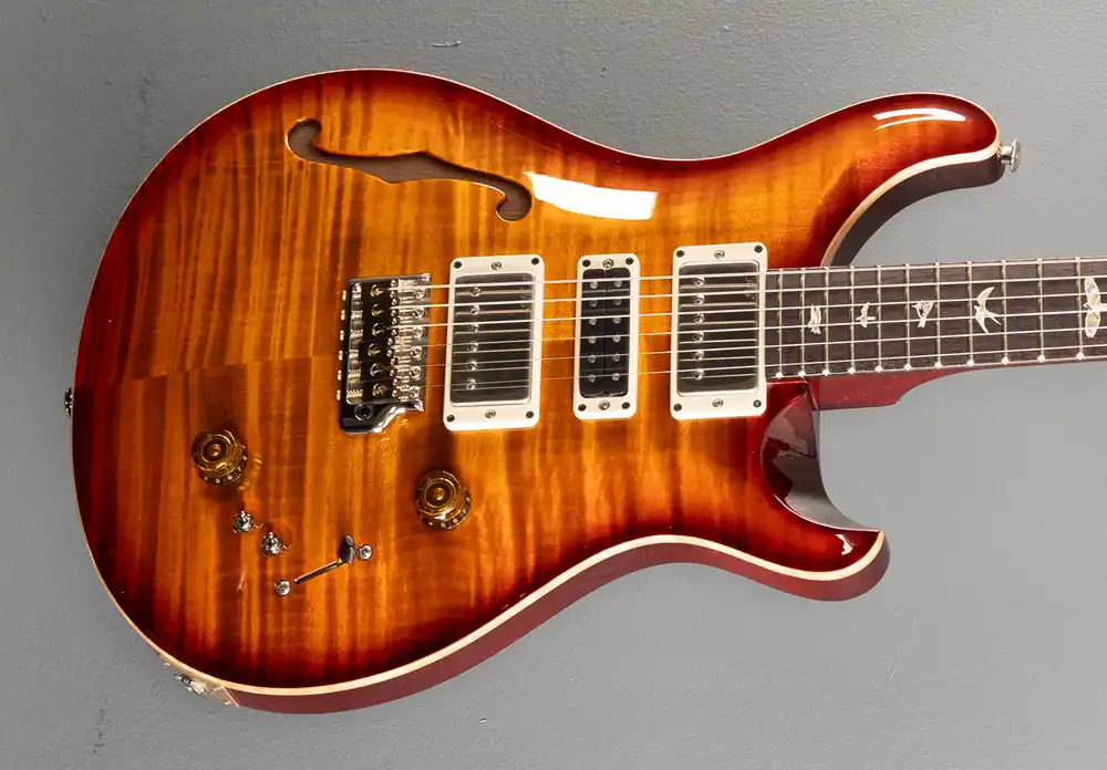 Professional Grade Special Semi-Hollow - Dark Cherry Sunburst– Dave's Guitar Shop