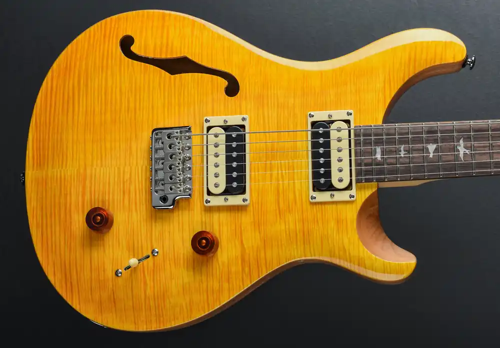 Premium SE Custom 22 Semi-Hollow '22– Dave's Guitar Shop