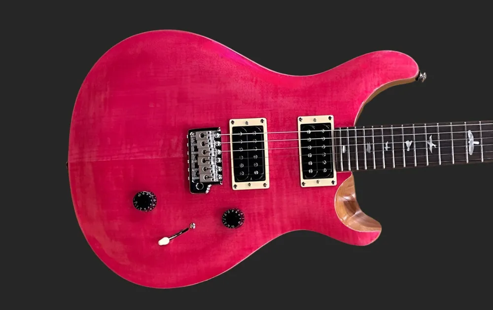 SE Custom 24 '22– Dave's Guitar Shop Brand New