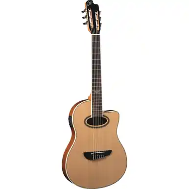 EKO NXT N100ce Classical Electric Guitar Mega Sale
