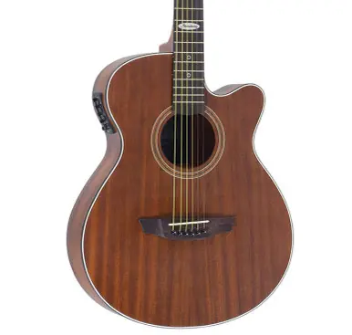 Strinberg SC200C Classical Electric Guitar w/ Built-In Preamp & Tuner Buy Today