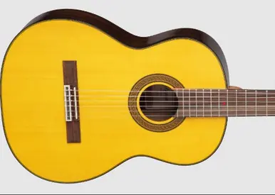 Professional Grade Takamine GC-5 Classical Guitar