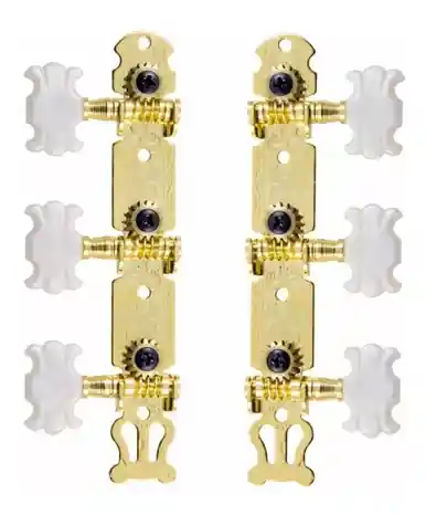 Strinberg CM30GD Classical Machine head - Gold Trending