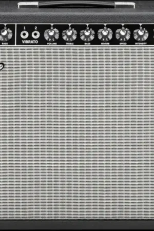 '65 Reissue Deluxe Reverb– Dave's Guitar Shop Super Sale