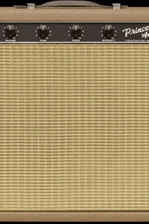 '62 Princeton Chris Stapleton Edition– Dave's Guitar Shop Luxury