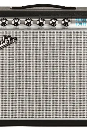 '68 Custom Princeton Reverb– Dave's Guitar Shop Seasonal Sale